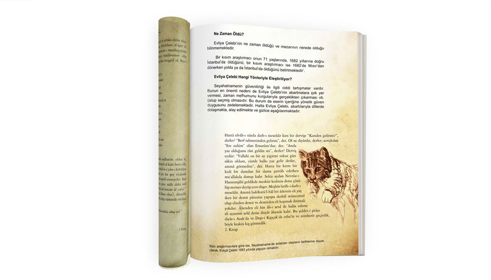 kitap çizimleri kedi